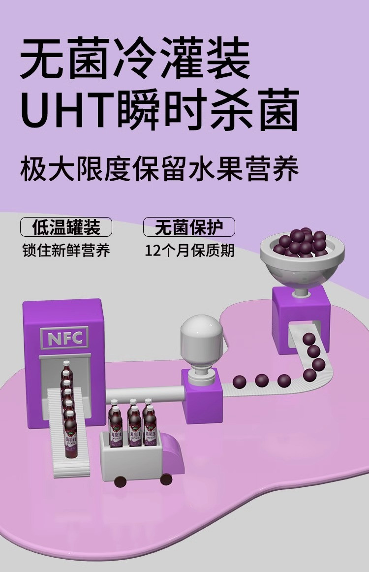 版纳雨林 NFC葡萄汁饮料1L*2瓶