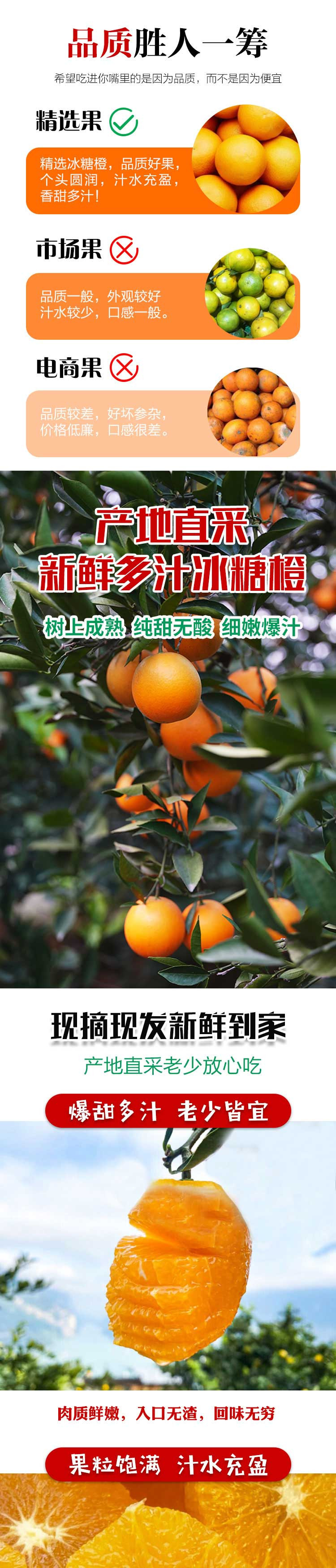 兰山戈薇 湖南麻阳冰糖橙纯甜无酸孕妇应季水果小果活动5斤带箱