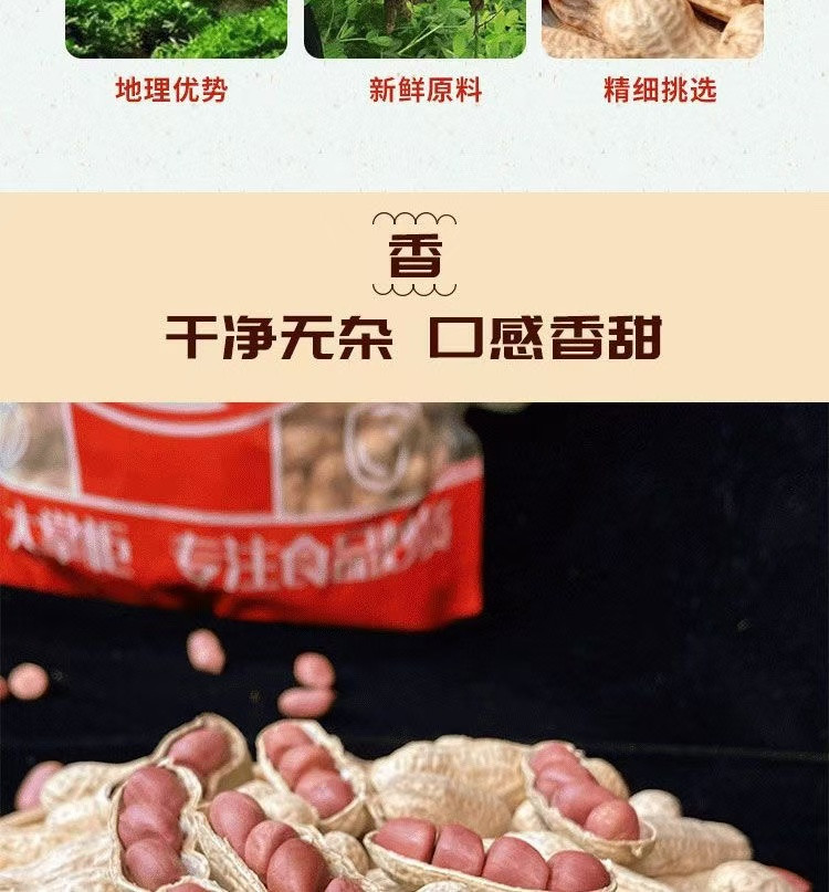 花生大掌柜 【领券立减】红皮花生原味炒熟带壳花生500g*2袋健康零添加