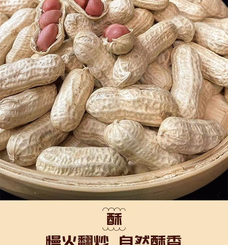 花生大掌柜 【领券立减】红皮花生原味炒熟带壳花生500g*2袋健康零添加