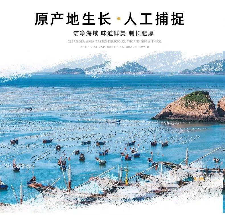 参家福 大连淡干海参