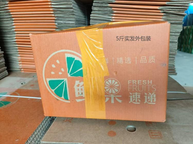 沂蒙鲜营 广西乌柑