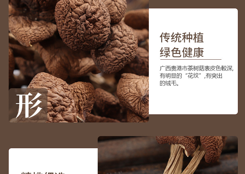 仙珠 茶树菇 150g/