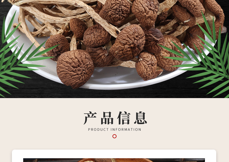 仙珠 茶树菇 150g/