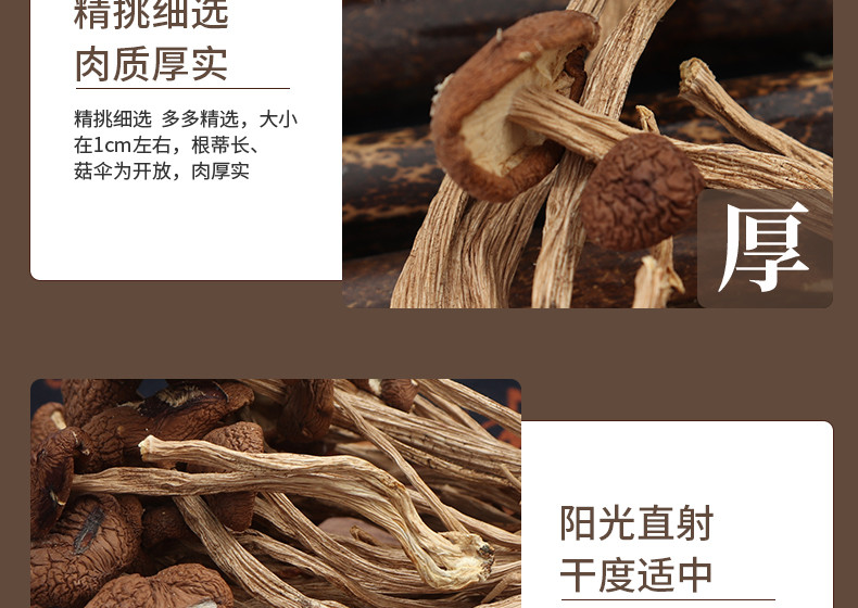 仙珠 茶树菇 150g/