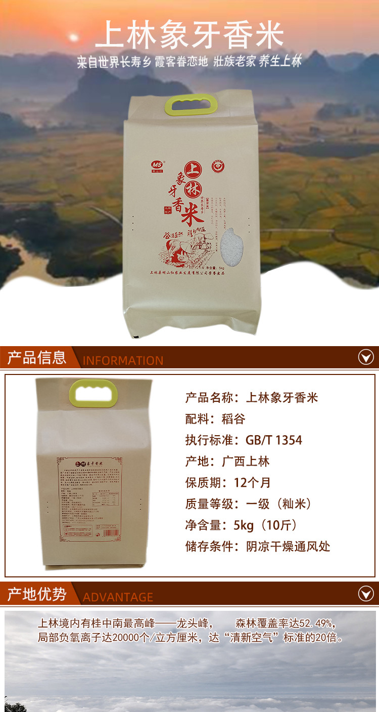 明山红 上林象牙香米5KG