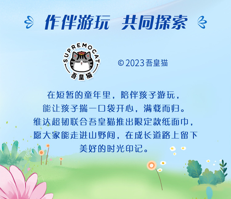 维达/Vinda 吾皇IP超韧抽纸3层100抽/包纸巾