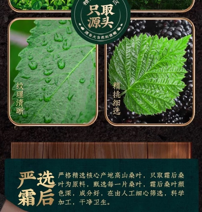 余记胖姐 【安庆邮政年货节】桑叶茶