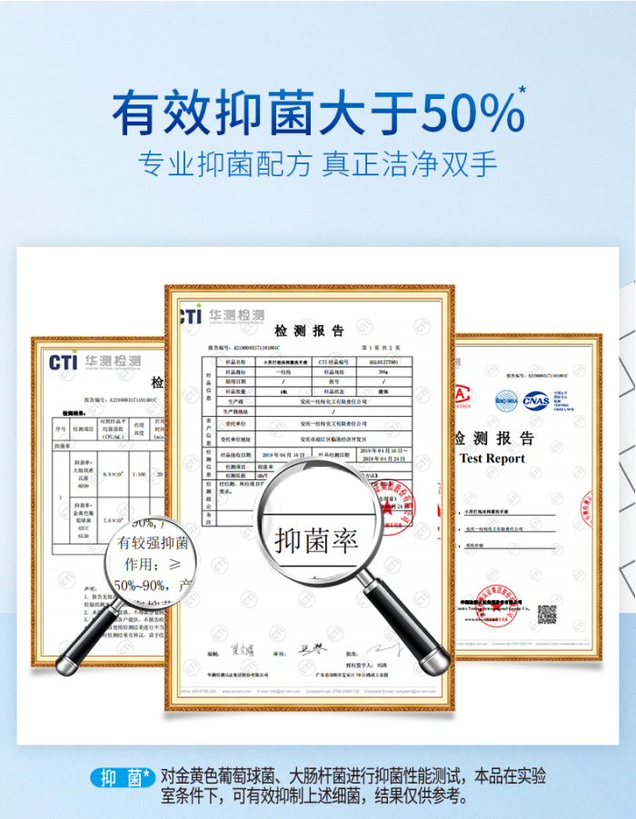 一枝梅 【安庆邮政年货节】泡沫洗手液