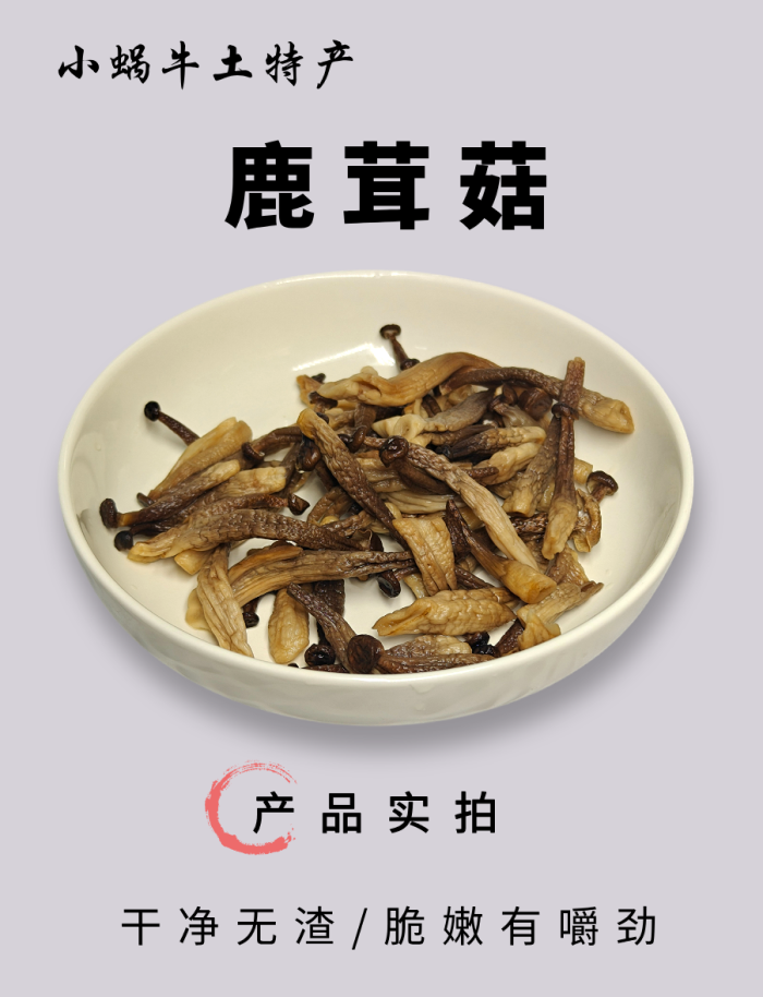 包家佬 【安庆邮政年货节】鹿茸菇