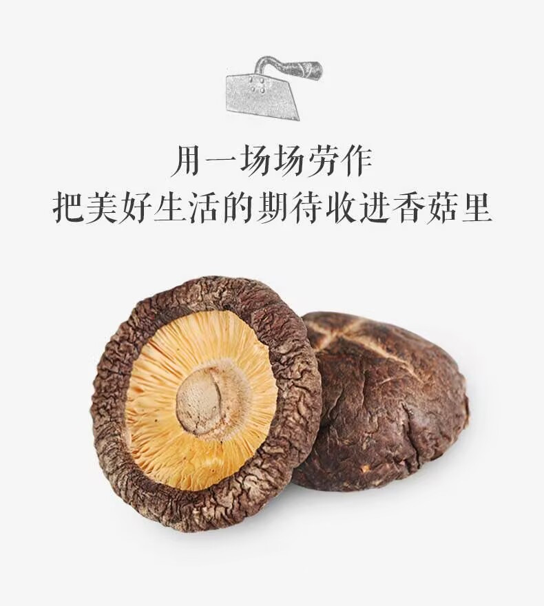 自产自销 邮福荟精品香菇500g*1袋