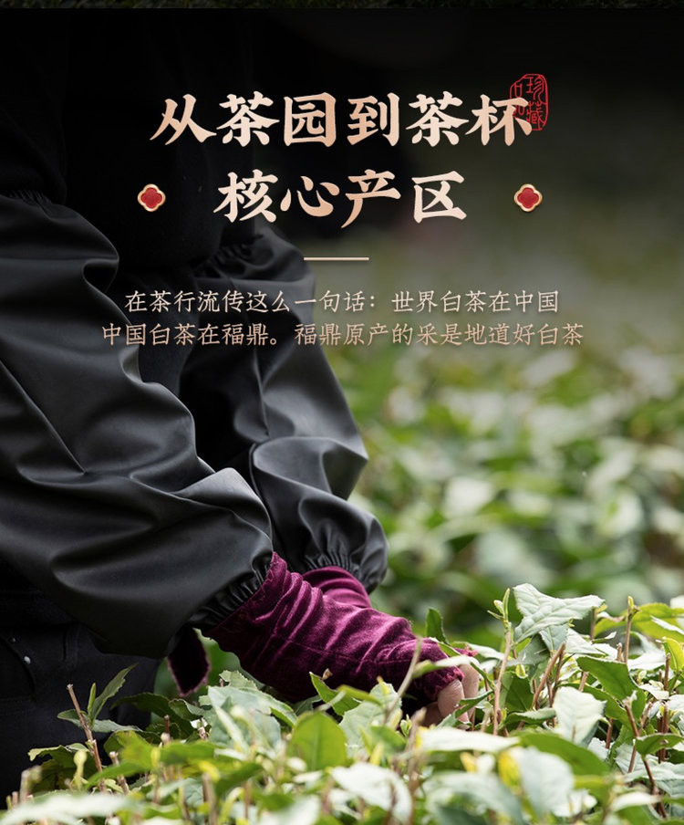 汖茗元 2016年五星金奖寿眉茶4斤装散茶（2000克/箱）