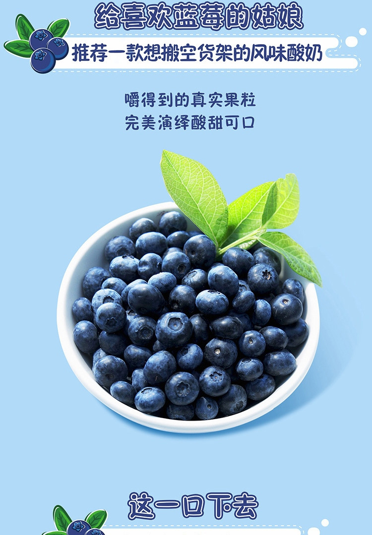 蒙牛 纯甄 常温风味酸牛奶 蓝莓果粒200g×10盒