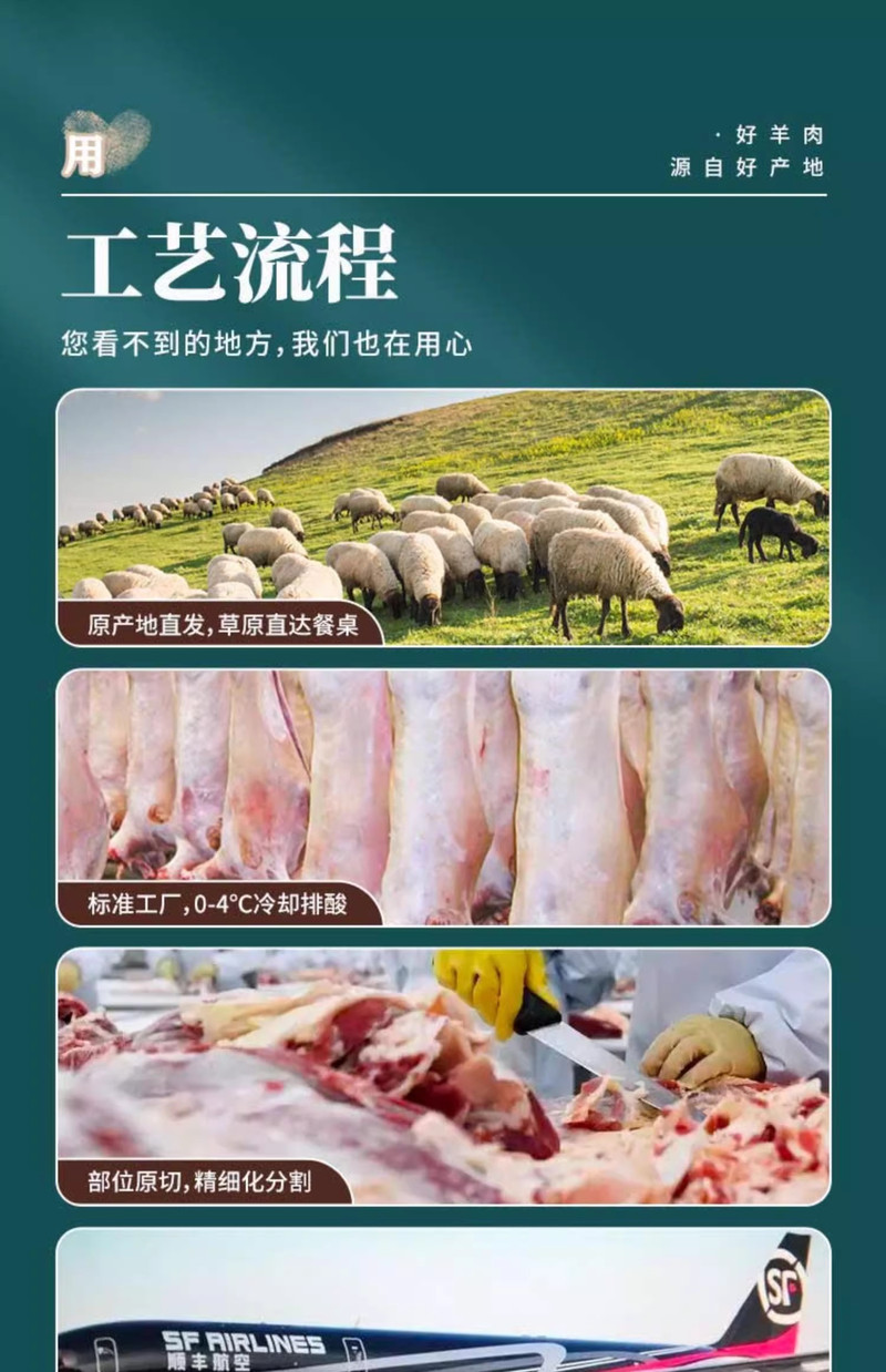 馋嘴羊 内蒙古草原散养羔羊手把肉