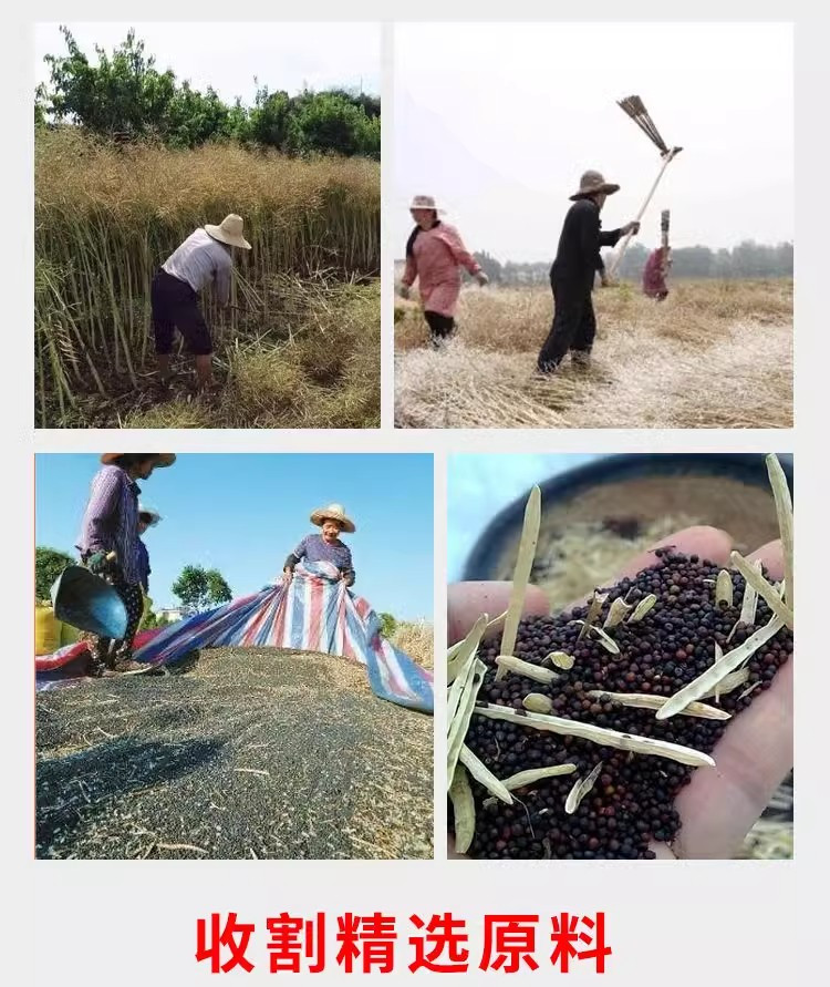 李白村 5斤包邮香纯菜油非转基因农家自榨压榨食用油纯菜籽油