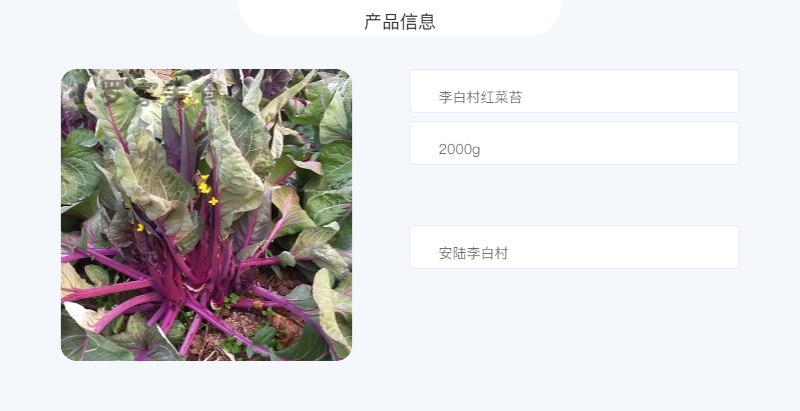 李白村 正宗洪山菜薹4斤装紫菜苔大股子现摘现发保冷特产红菜苔