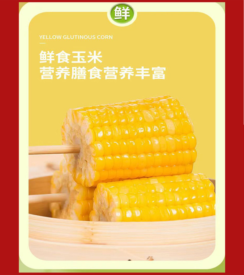 嫩水态安 粘玉米黄色粘玉米220克-300克/穗10穗/箱东北黏玉米