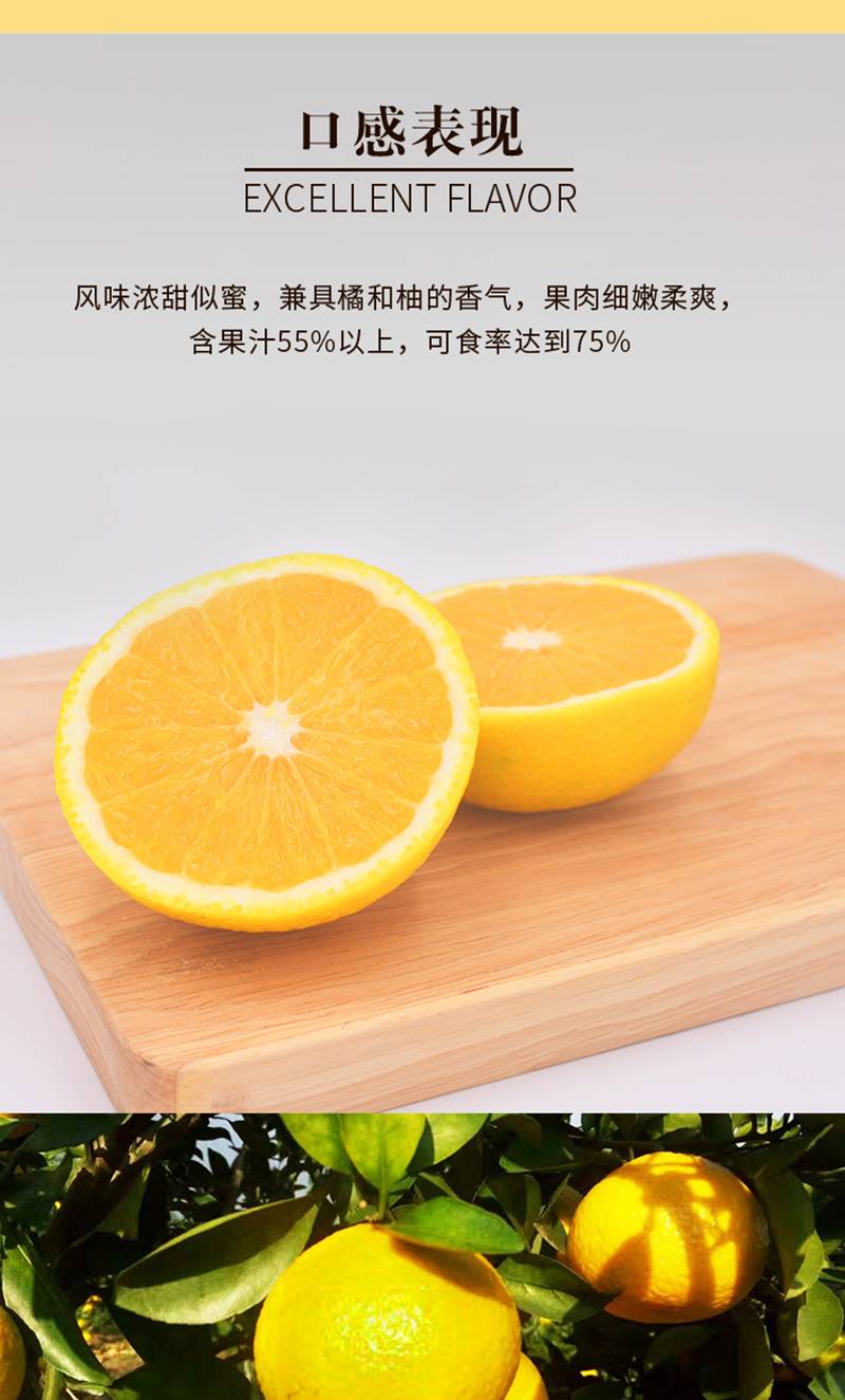 【丽水振兴馆】蓝城农业甜桔柚果酱500g2（8月份过期）