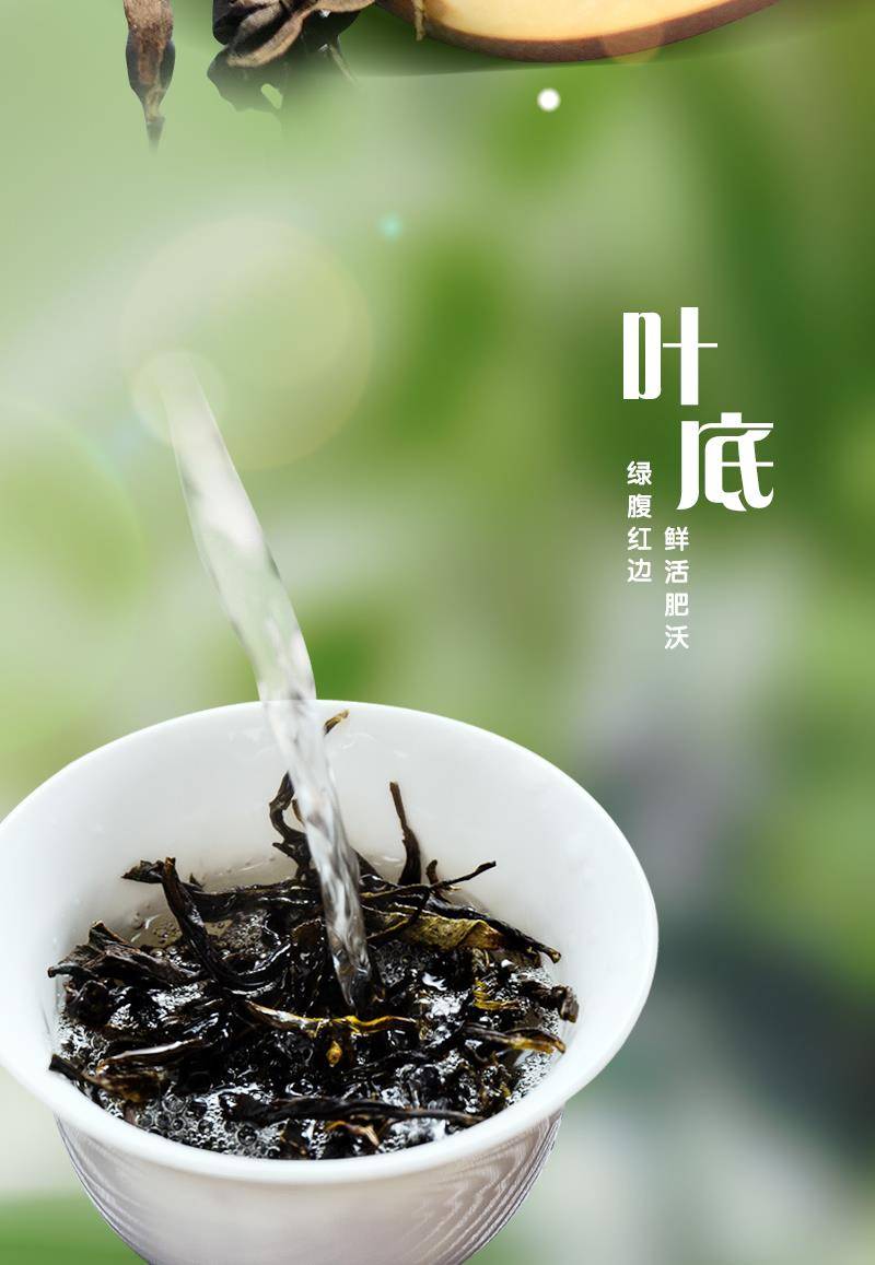 宋茶荟 凤凰单丛茶 初遇单丛 潮州工夫茶 鸭屎香体验装 20克/罐