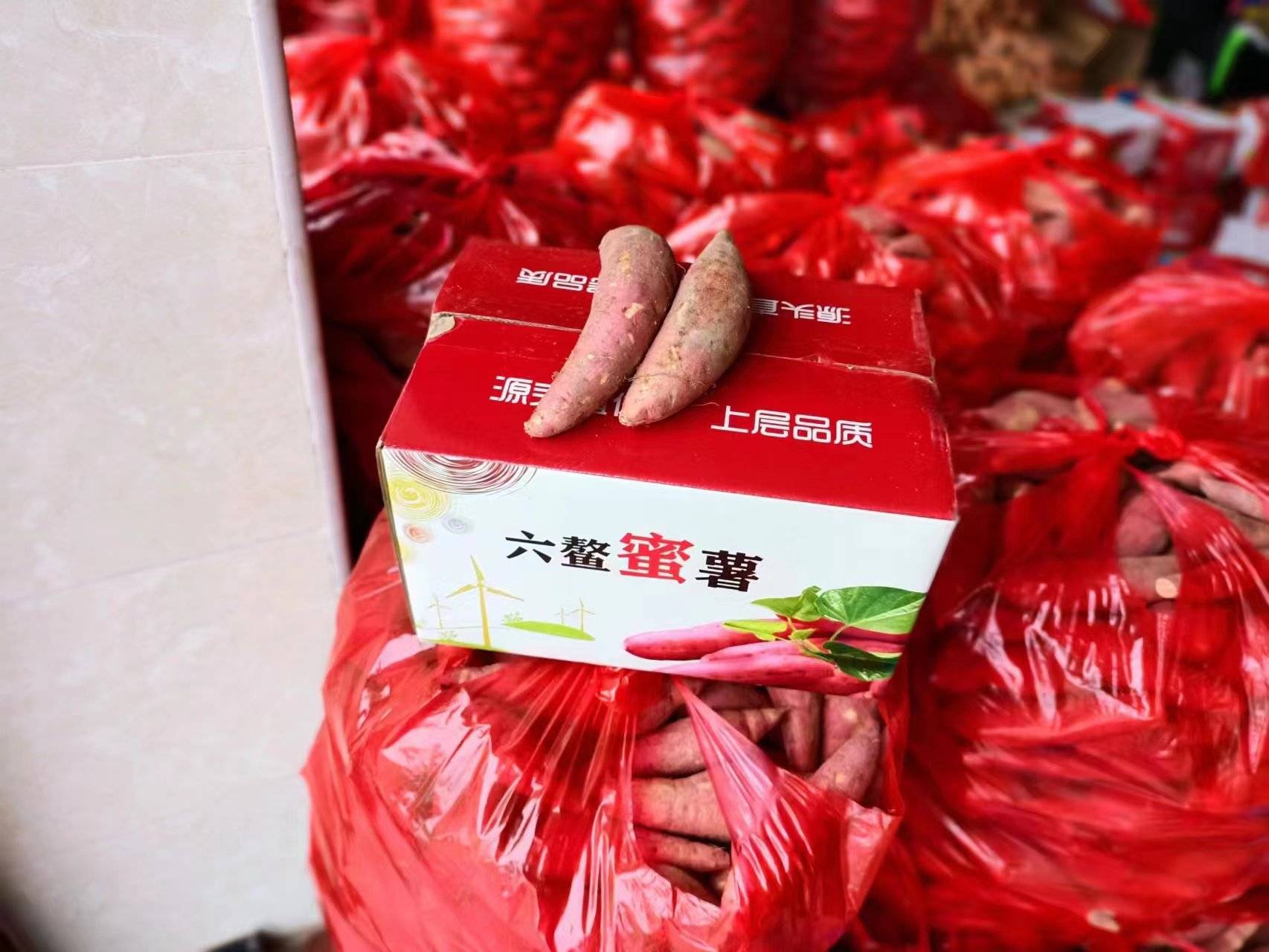 福建漳浦六鳌地瓜小果5斤装小蜜薯软糯香甜农家自产