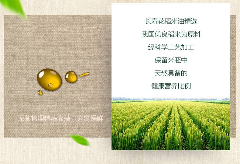 长寿花 稻米油