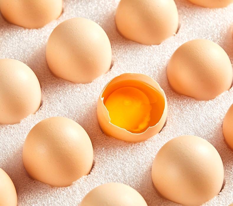 康德卤蛋20枚600g鸡蛋熟食早餐即食五香卤蛋盐焗蛋零食配泡面