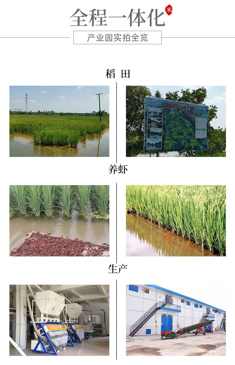 【消费帮扶】宣城虾稻米基地 邱村白马湖家虾稻米1公斤米砖