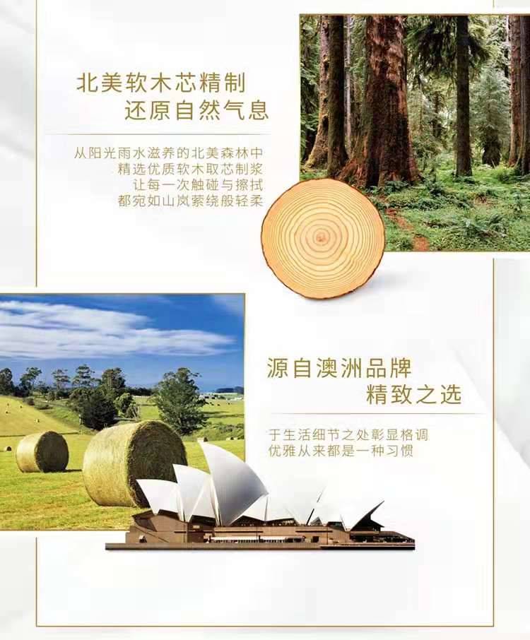 铂丽雅丝柔面纸 3层100抽12包中规 抽取式纸巾抽纸