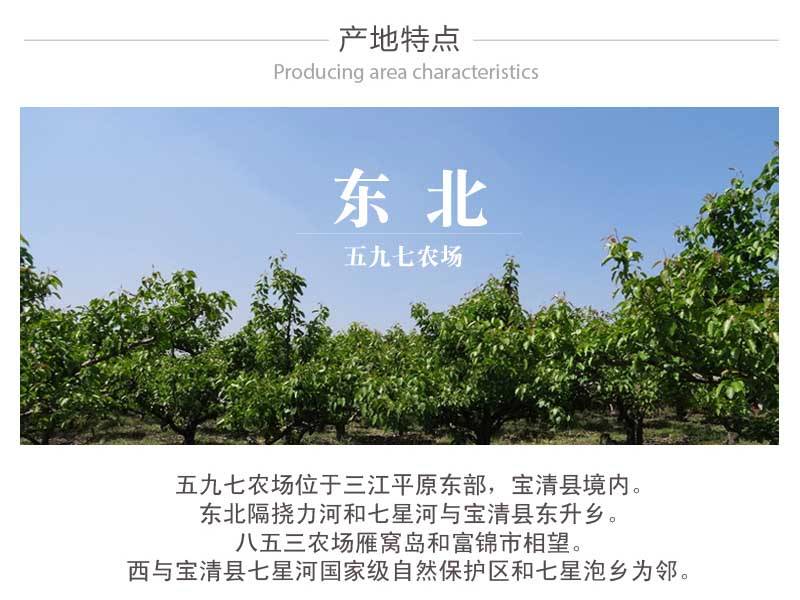 【宝清县】五九七龙丰小苹果2.5公斤全国包邮西藏青海新疆除外