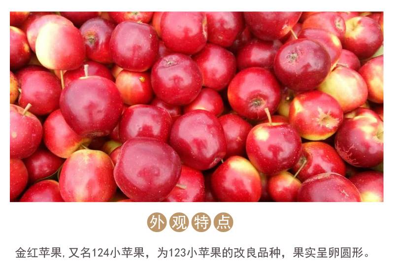 【宝清县】五九七124小苹果2.5公斤全国包邮西藏青海新疆除外