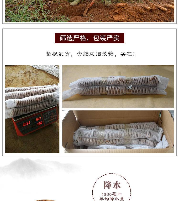 贵安【安顺&amp;amp;middot;山药】地标产品精品5斤装粉糯可口现挖现发新鲜直达