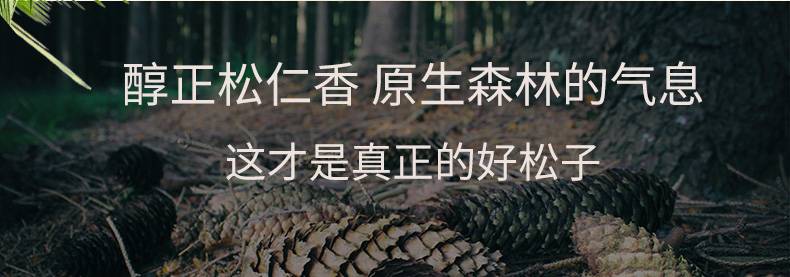 【冰爽价】东北特产 关东珍人 十八年挂果 野生红松松子168克/瓶装 办公室休闲食品 吉林特产