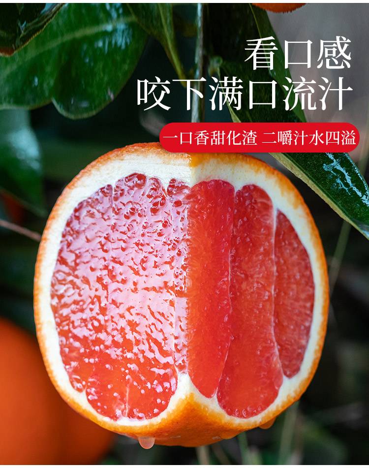 涵睿优品中华红血橙（果径70-80mm)9斤件