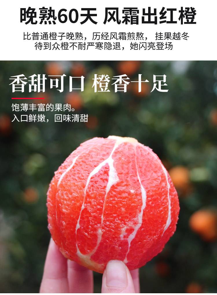 涵睿优品中华红血橙（果径70-80mm)5斤