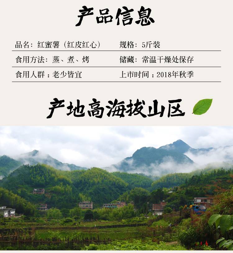 【上犹县惠农合作社】赣南五指峰正宗红蜜薯新鲜地瓜农家自种番薯