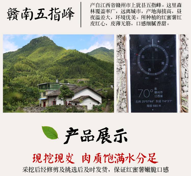 【上犹县惠农合作社】赣南五指峰正宗红蜜薯新鲜地瓜农家自种番薯