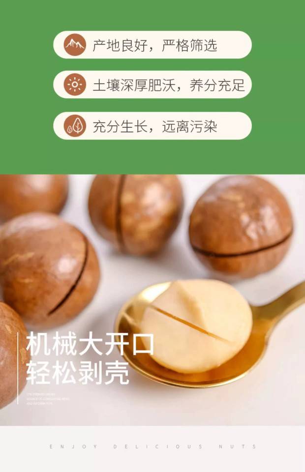 【奶油味大颗粒券后39.9】夏威夷果奶油味新货大颗粒坚果罐装500g