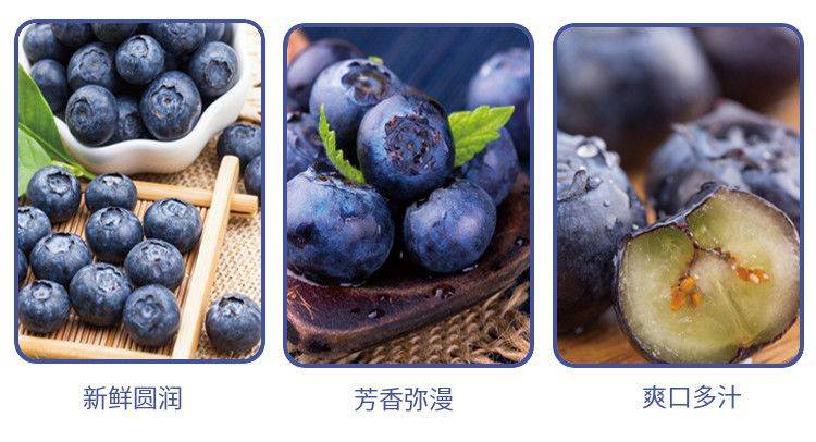 【500g独立小包装券后39.9】无糖精选特级野生蓝莓干无添加无蔗糖水果干老少皆宜