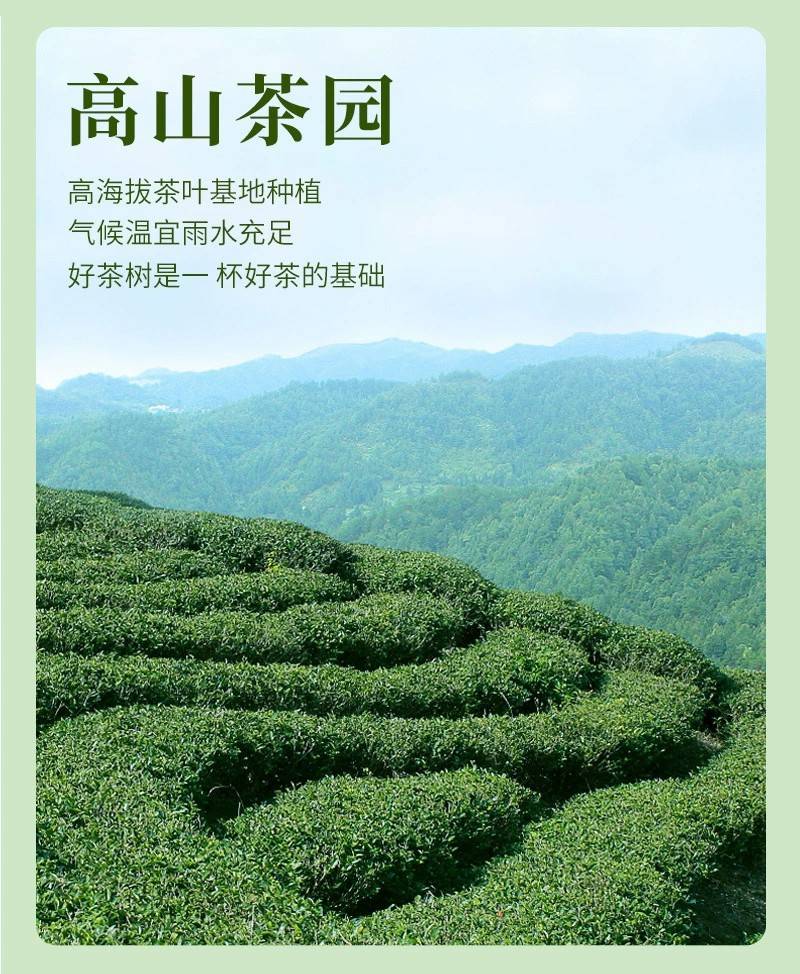 2025新茶茉莉花茶浓香型绿茶春茶高档茶叶礼盒装送人送礼花茶