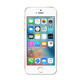 苹果 Apple iPhone SE (A1723) 64G 全网通 移动联通电信4G手机 金色
