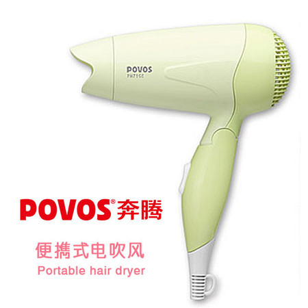 Povos/奔腾 电吹风机 PL301（PH7150）图片