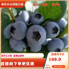 滇品吉丰 云南澄江特产蓝莓500g春高（12-14mm）