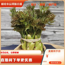 农家自产 山野菜刺嫩芽500g/箱（尝鲜装） （直播链接）