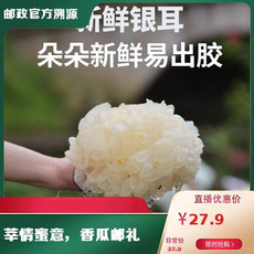 鲜珥家 新鲜银耳130克*6朵  朵朵新鲜煲煮食材银耳 独立包装