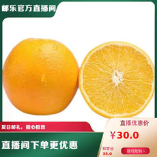 果秀 永州江永夏橙5斤装（大果70-80）