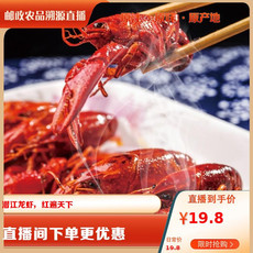 夏竺 晓飞歌油焖虾酱料198克/袋