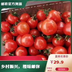 农家自产 【会员享实惠】成都青白江小番茄2斤装