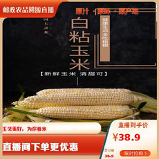 辽河土灵龙 鲜食粘玉米（230g/穗*10）