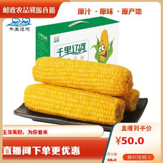 千里辽河 【四平】鲜食玉米礼盒（双辽发货）2000g