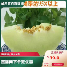 农家自产 【新疆邮政】莎车昆仑白玉瓜 3kg 蜜瓜肉质细腻 甜瓜